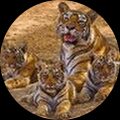 Rekha H
